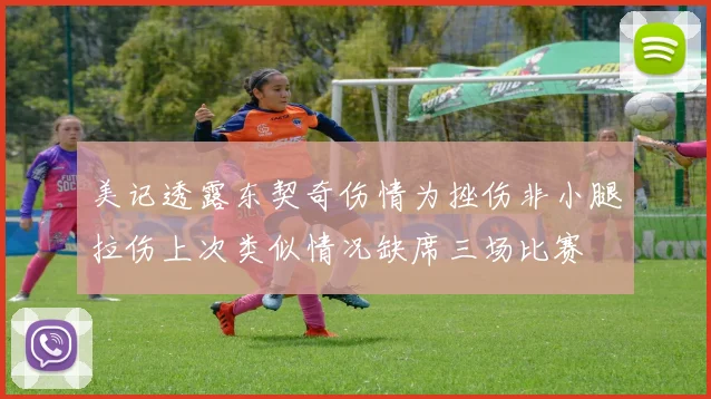 美记透露东契奇伤情为挫伤非小腿拉伤上次类似情况缺席三场比赛