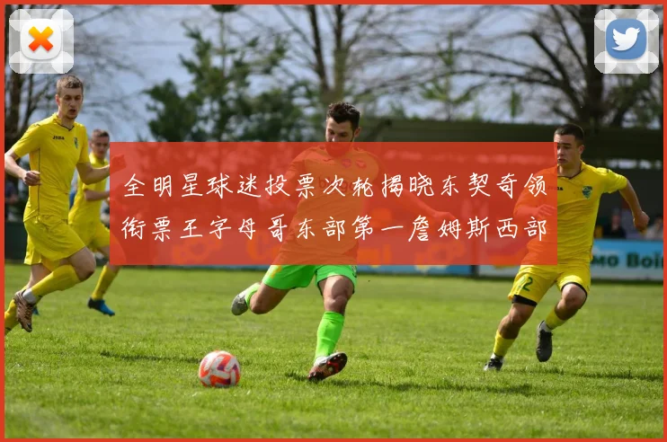 全明星球迷投票次轮揭晓东契奇领衔票王字母哥东部第一詹姆斯西部第八