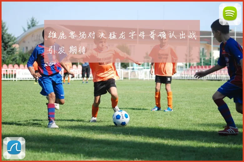 雄鹿客场对决猛龙字母哥确认出战引发期待
