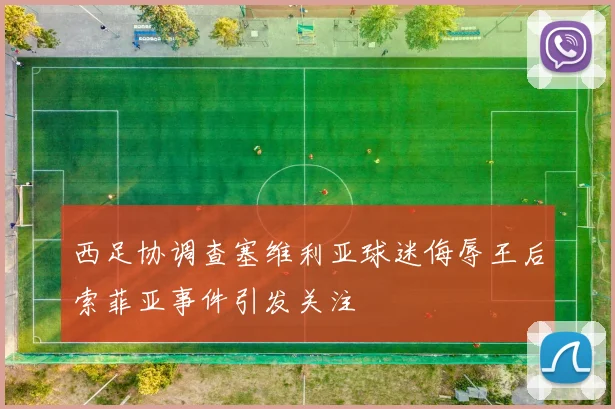 西足协调查塞维利亚球迷侮辱王后索菲亚事件引发关注